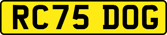 RC75DOG