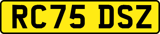 RC75DSZ