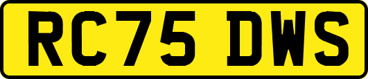 RC75DWS