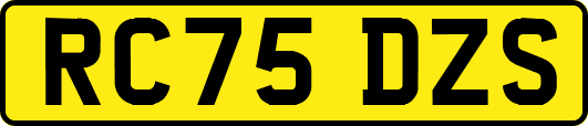 RC75DZS