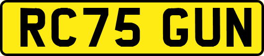 RC75GUN