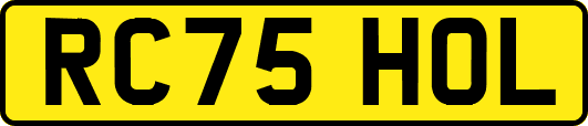 RC75HOL