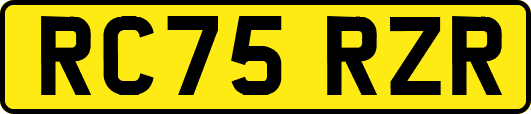 RC75RZR