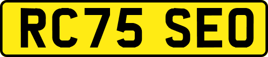 RC75SEO