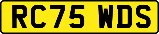 RC75WDS