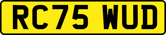 RC75WUD