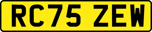 RC75ZEW