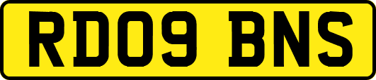 RD09BNS