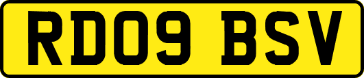 RD09BSV