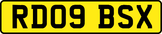 RD09BSX