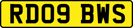 RD09BWS
