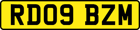 RD09BZM