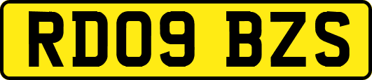 RD09BZS