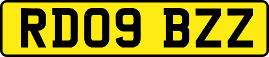 RD09BZZ