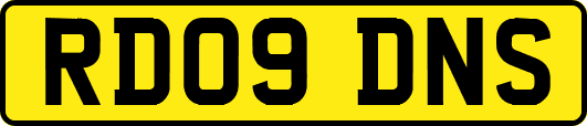 RD09DNS