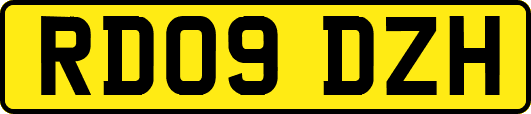 RD09DZH