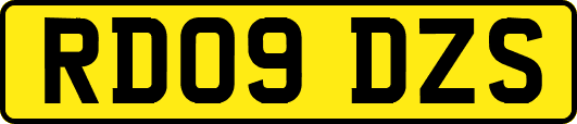 RD09DZS
