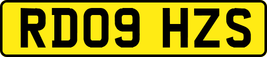 RD09HZS
