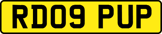 RD09PUP
