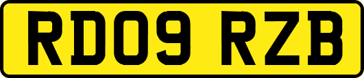 RD09RZB