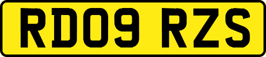 RD09RZS