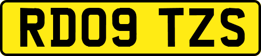 RD09TZS