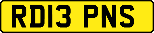 RD13PNS