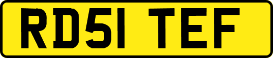 RD51TEF