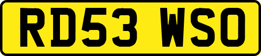 RD53WSO