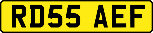 RD55AEF