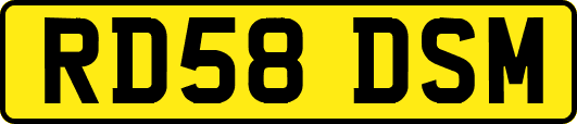 RD58DSM