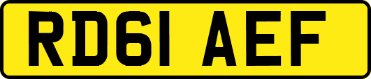 RD61AEF