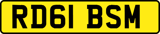 RD61BSM