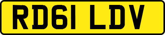 RD61LDV