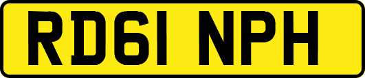 RD61NPH