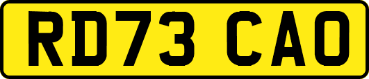 RD73CAO
