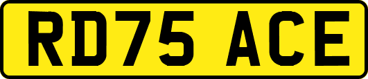 RD75ACE