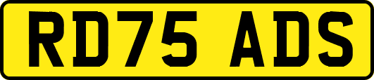 RD75ADS