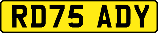 RD75ADY