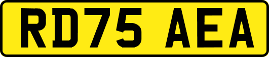 RD75AEA
