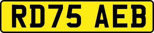 RD75AEB