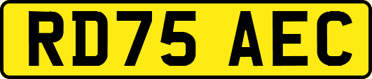 RD75AEC