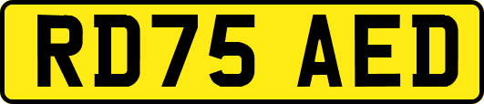 RD75AED