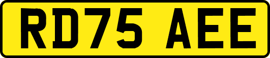 RD75AEE