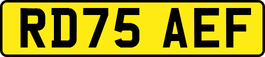 RD75AEF