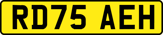 RD75AEH