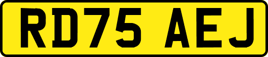 RD75AEJ