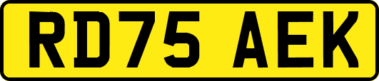 RD75AEK