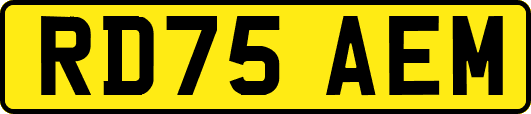 RD75AEM