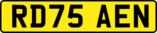 RD75AEN